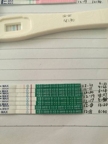 journal_insert_pic_909545599