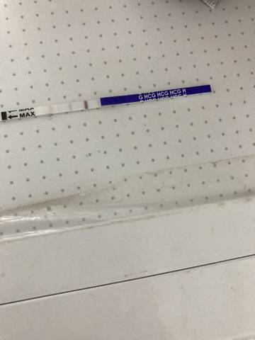 journal_insert_pic_909784362