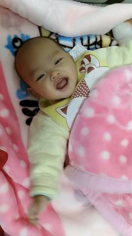 journal_insert_pic_910175668