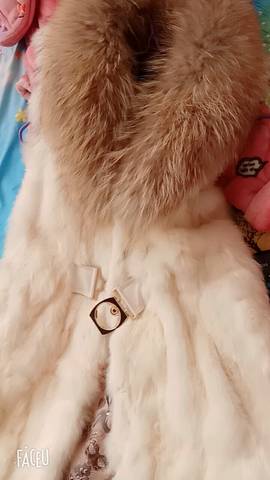 journal_insert_pic_910875207