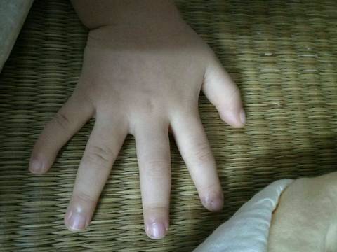journal_insert_pic_911103697