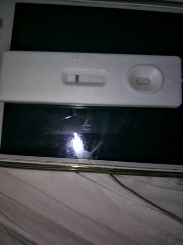 journal_insert_pic_911051026