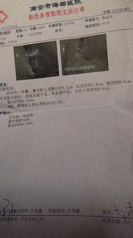 journal_insert_pic_911856489