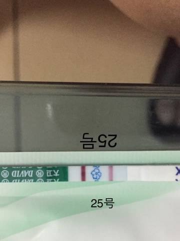 journal_insert_pic_911515600