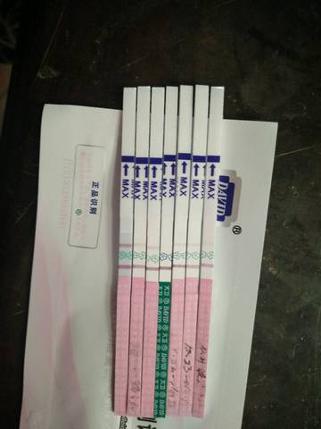 journal_insert_pic_911538470