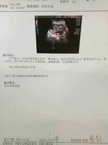 journal_insert_pic_912524341