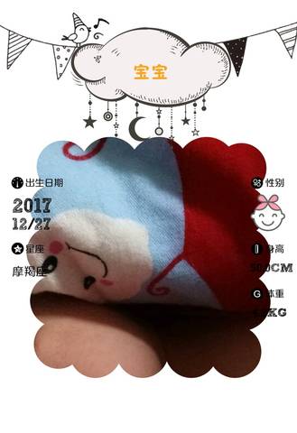 journal_insert_pic_913222581