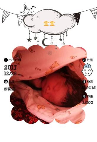 journal_insert_pic_912995593