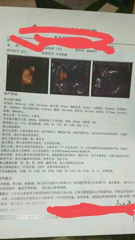 journal_insert_pic_914116236