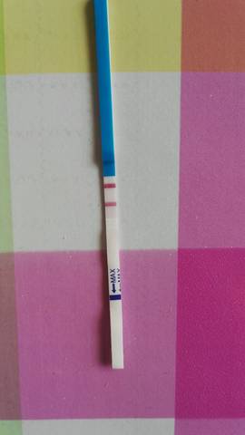 journal_insert_pic_913991695