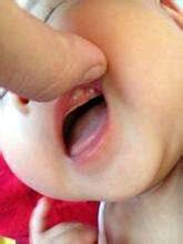 journal_insert_pic_913822675