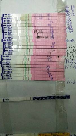 journal_insert_pic_914479189