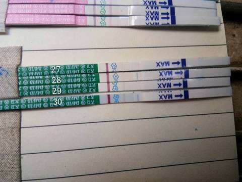journal_insert_pic_915033122
