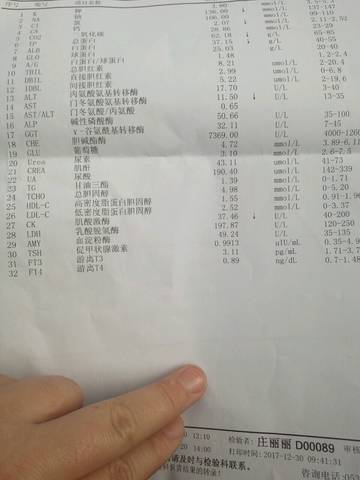 journal_insert_pic_915082097