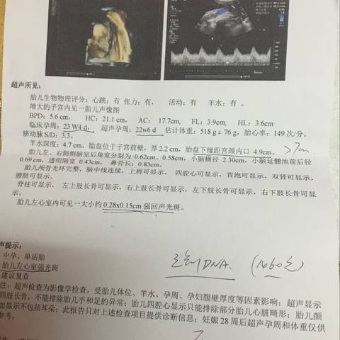 journal_insert_pic_915388644