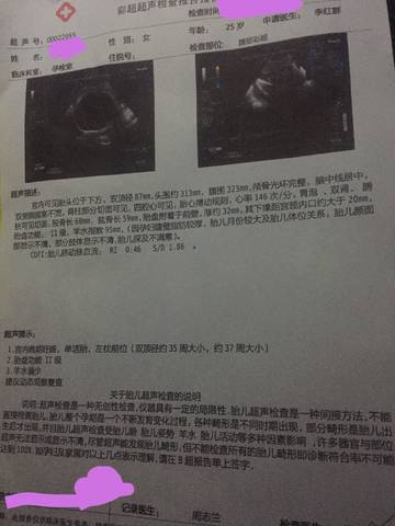 journal_insert_pic_915558850