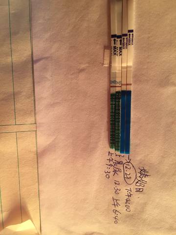 journal_insert_pic_915048210