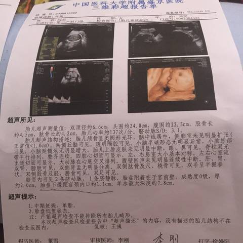 journal_insert_pic_915694019