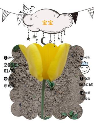 journal_insert_pic_916718261