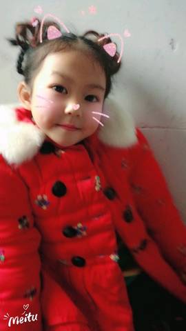 journal_insert_pic_918047333