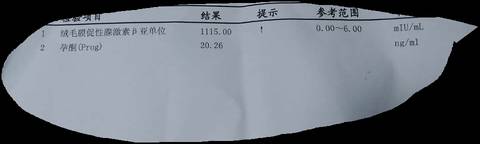 journal_insert_pic_918253279