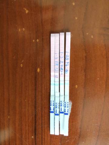 journal_insert_pic_918727473