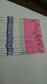 journal_insert_pic_919829661