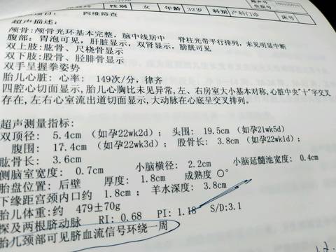 journal_insert_pic_919426356