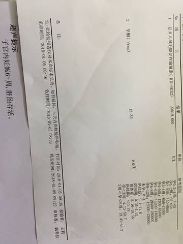 journal_insert_pic_919502245