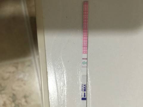 journal_insert_pic_919423201