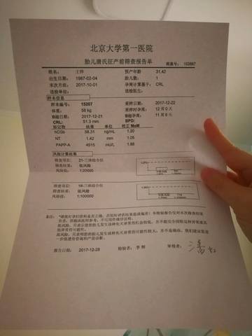 journal_insert_pic_920056978