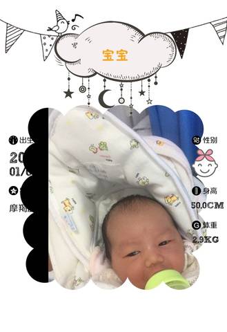 journal_insert_pic_920305126