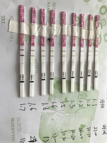 journal_insert_pic_920753135