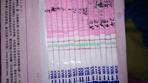 journal_insert_pic_920621620