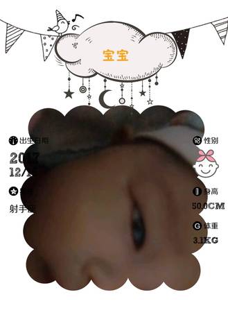 journal_insert_pic_920790875