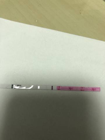 journal_insert_pic_920647960