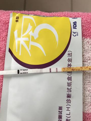 journal_insert_pic_920938261