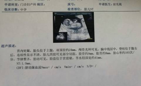 journal_insert_pic_920767534