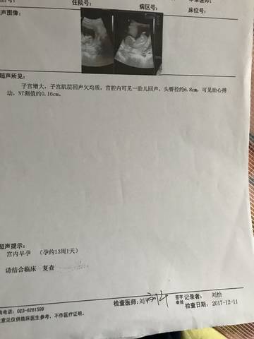 journal_insert_pic_921296364