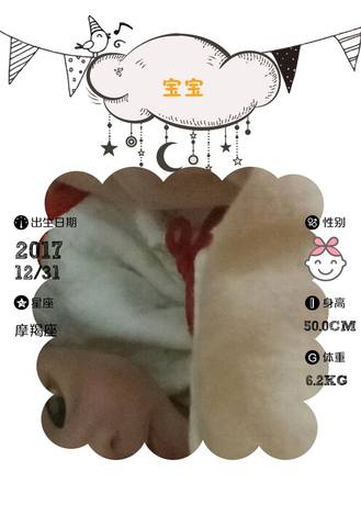 journal_insert_pic_921582866
