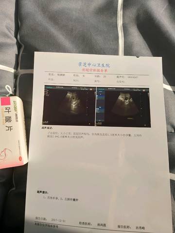 journal_insert_pic_922919067