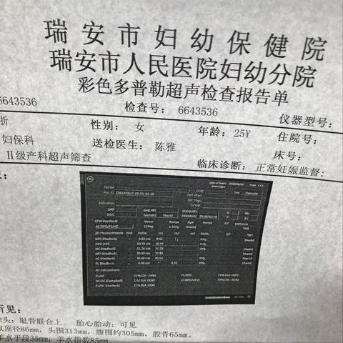 journal_insert_pic_922772400