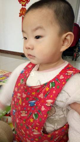 journal_insert_pic_922707140