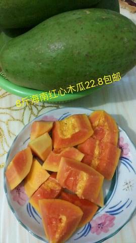 journal_insert_pic_923737600
