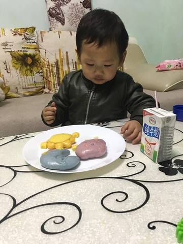 journal_insert_pic_923206500