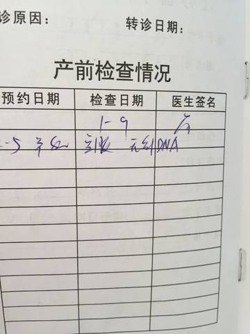 journal_insert_pic_923847832
