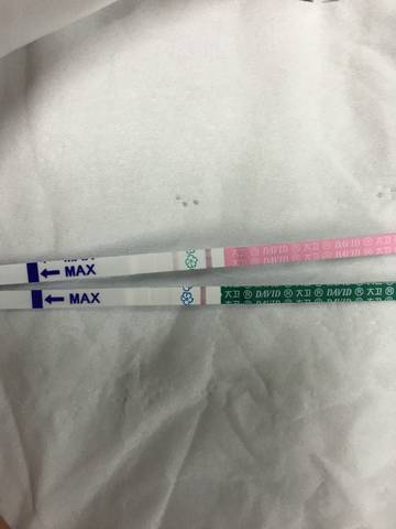 journal_insert_pic_924113897