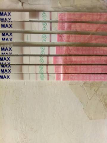 journal_insert_pic_923838466