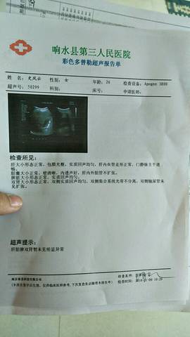 journal_insert_pic_923790395