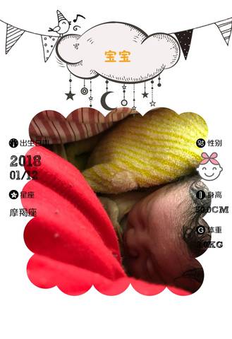journal_insert_pic_923785569
